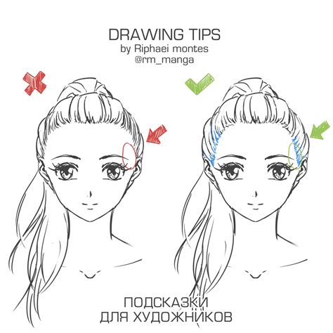 ponytail drawing reference